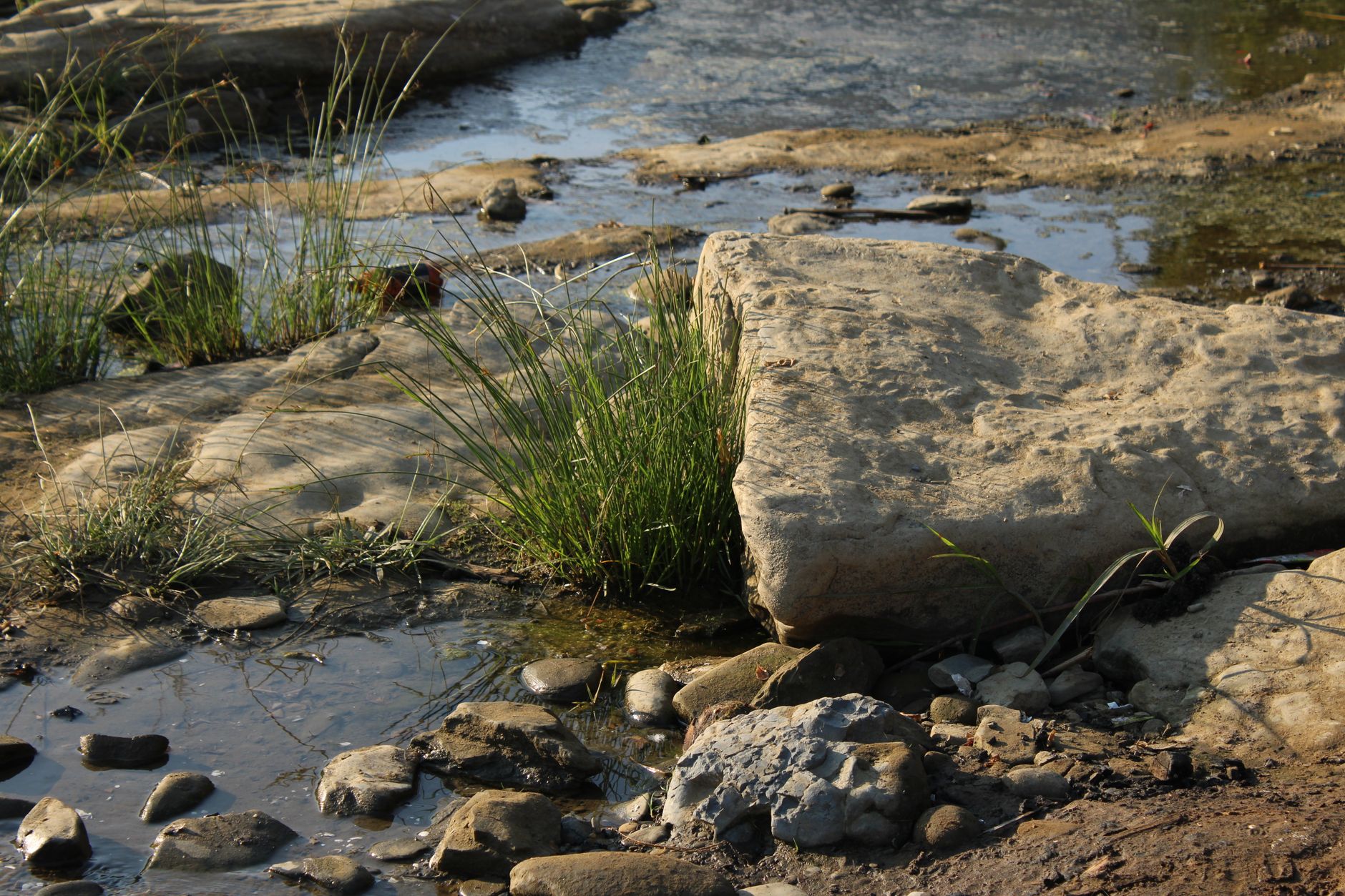 a creek with exposed gravel bar and bedrock showing inside bend and boulders