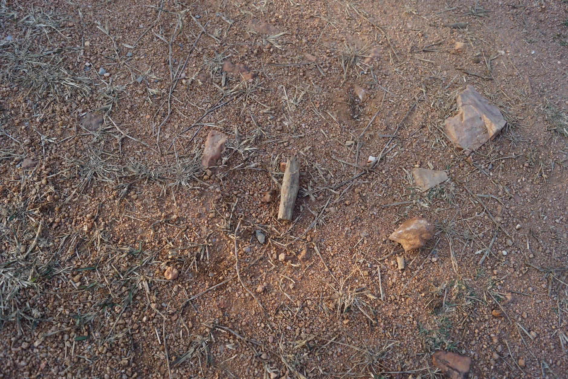 a rock hammer and 10x magnifying loupe resting on a rocky outcrop beside rock samples