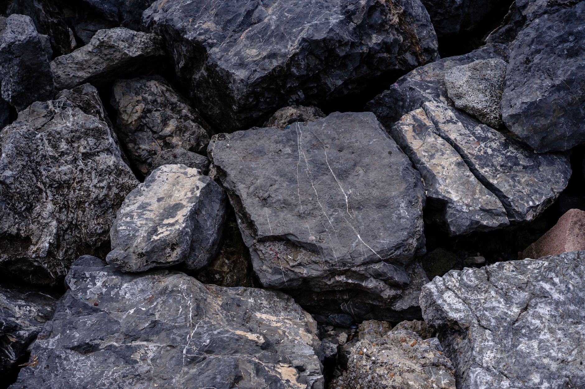 a rock hammer, bucket, gloves, and screen set on rocky ground at a collecting site